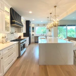 BEAUTIFUL WHITE SHAKER CABINETS FOR YOUR KITCHEN OR BATHROOM BEAUTIFUL WHITE SHAKER CABINETS FOR YOUR KITCHEN OR BATHROOM